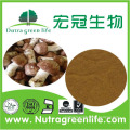 Top quality agaricus blazei murrill extract supplier